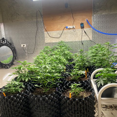 #21 growlog timeline photo