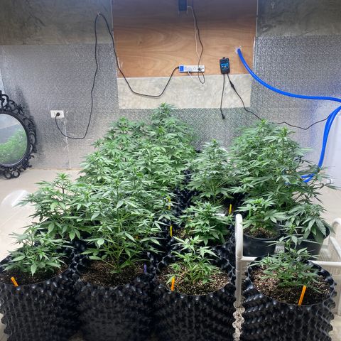 #21 growlog timeline photo