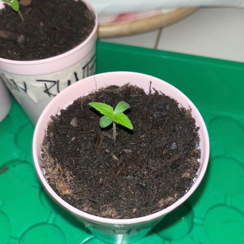 Renate growlog photo: RENATE 🤽🏻‍♂️