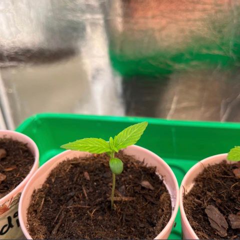 Renate growlog photo: 🫶🏼