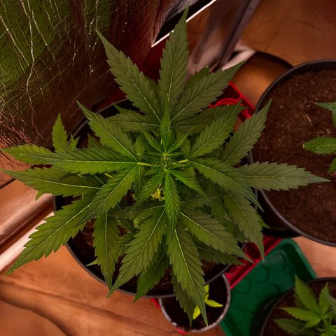 Renate growlog photo: Really stable one 🤽🏻‍♂️