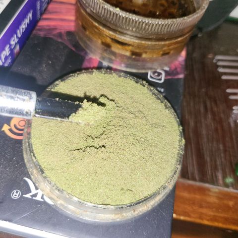 Runtz growlog photo: Kief 
