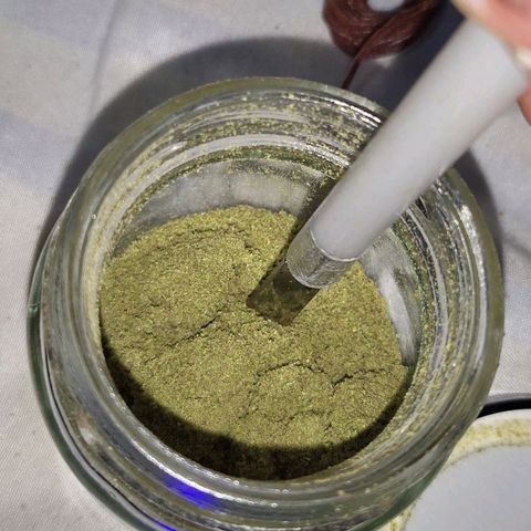 Runtz growlog timeline photo
