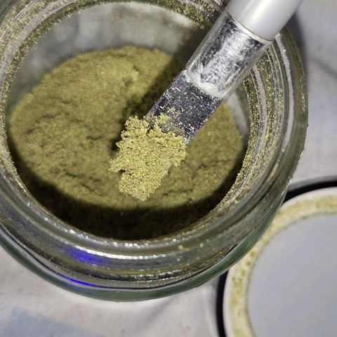 Runtz growlog timeline photo