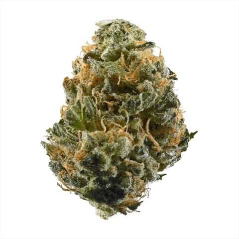 Haze growlog timeline photo