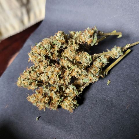 Haze growlog timeline photo