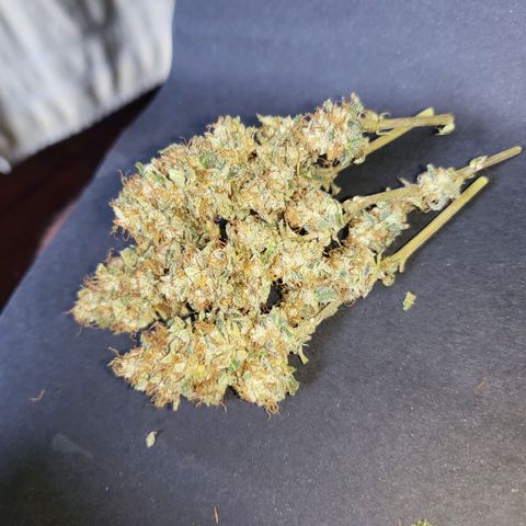 Haze growlog timeline photo
