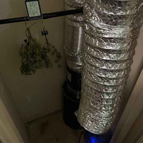 Strawberry Pie growlog timeline photo