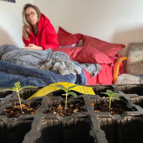 AK 47 growlog timeline photo