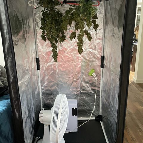 Super Skunk Speed Race growlog timeline photo