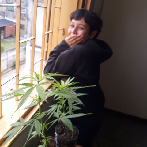 Genética desconocida growlog timeline photo