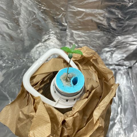 Winona growlog photo: She’s lookin good