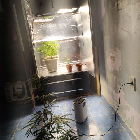 02 growlog timeline photo