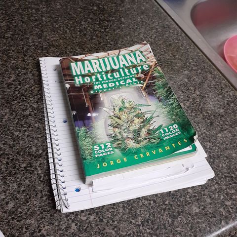 Vanilla Cream Pie growlog photo: Transplanting, Tiedown(scrogg)
Add Co², Foliar feed more effectively.
