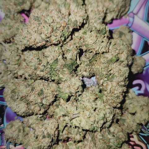 Peytons pie x Zkittles growlog timeline photo