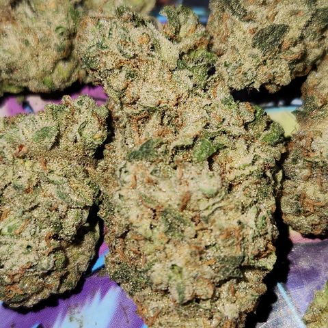 Peytons pie x Zkittles growlog timeline photo