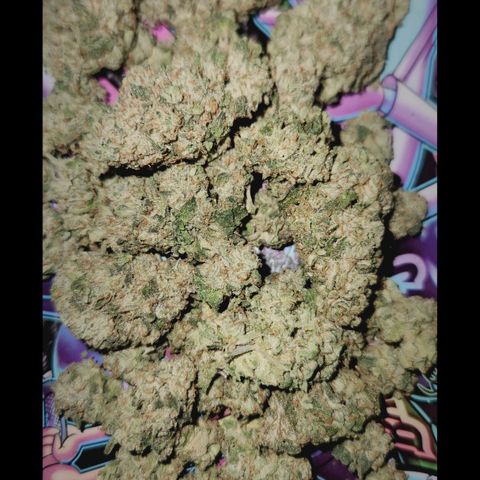 Peytons pie x Zkittles growlog timeline photo