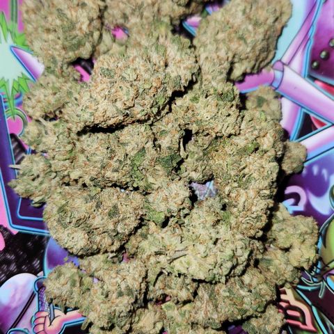 Peytons pie x Zkittles growlog timeline photo