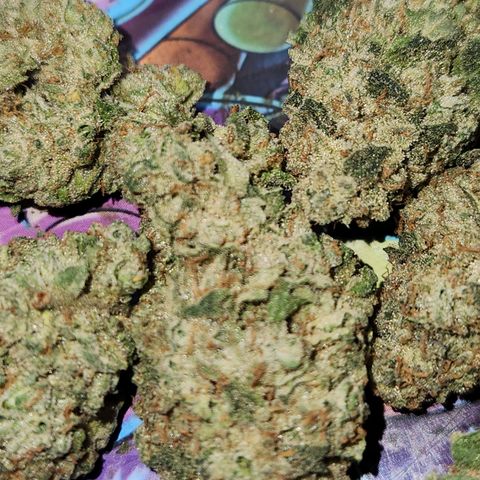 Peytons pie x Zkittles growlog timeline photo