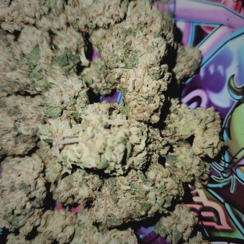 Peytons pie x Zkittles growlog timeline photo