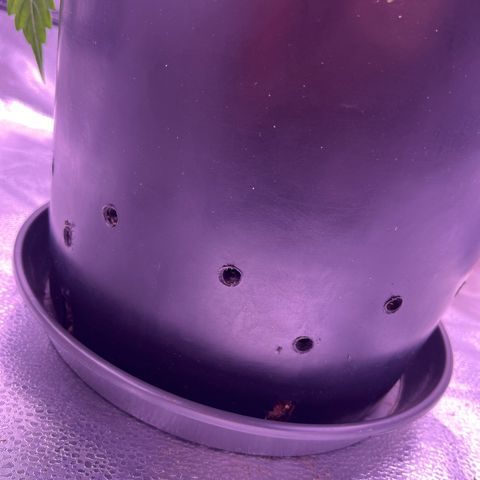 Rhino Ryder #1 growlog timeline photo