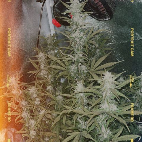 Rhino Ryder #1 growlog timeline photo