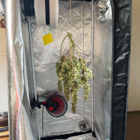 Rhino Ryder #1 growlog timeline photo