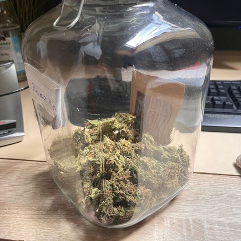 Rhino Ryder #1 growlog timeline photo