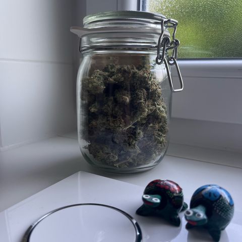 Rhino Ryder #1 growlog timeline photo