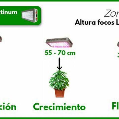 ChocoHaze growlog timeline photo
