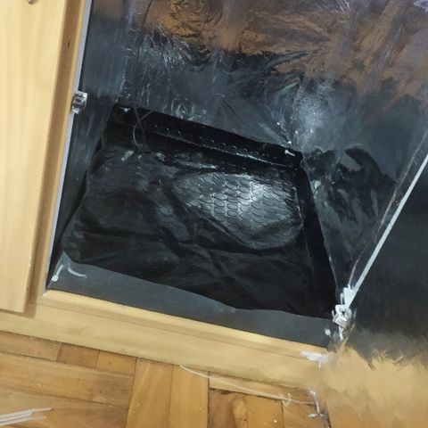 ChocoHaze growlog timeline photo