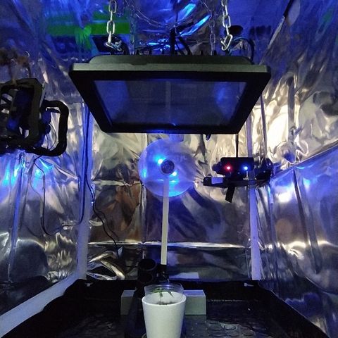 ChocoHaze growlog timeline photo