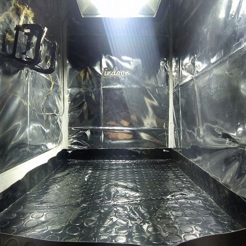 ChocoHaze growlog timeline photo