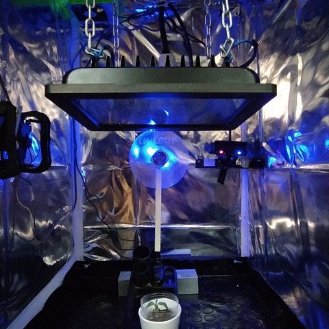 ChocoHaze growlog timeline photo