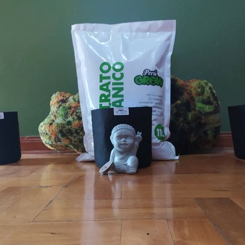 ChocoHaze growlog timeline photo