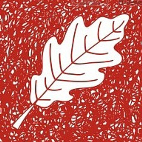 PLANTA 1 (Genética Desconhecida) growlog photo: Outono! 