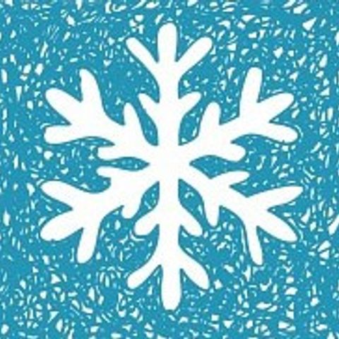 PLANTA 1 (Genética Desconhecida) growlog photo: Inverno! 