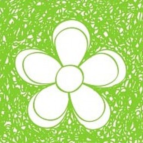 PLANTA 1 (Genética Desconhecida) growlog photo: Primavera, início de um novo ciclo. 