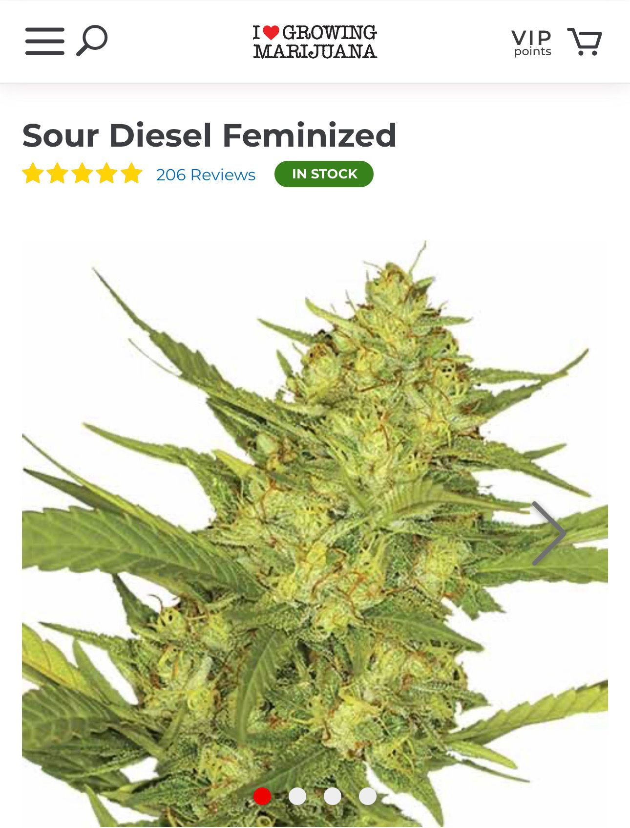 Sour Diesel - ILGM growlog header