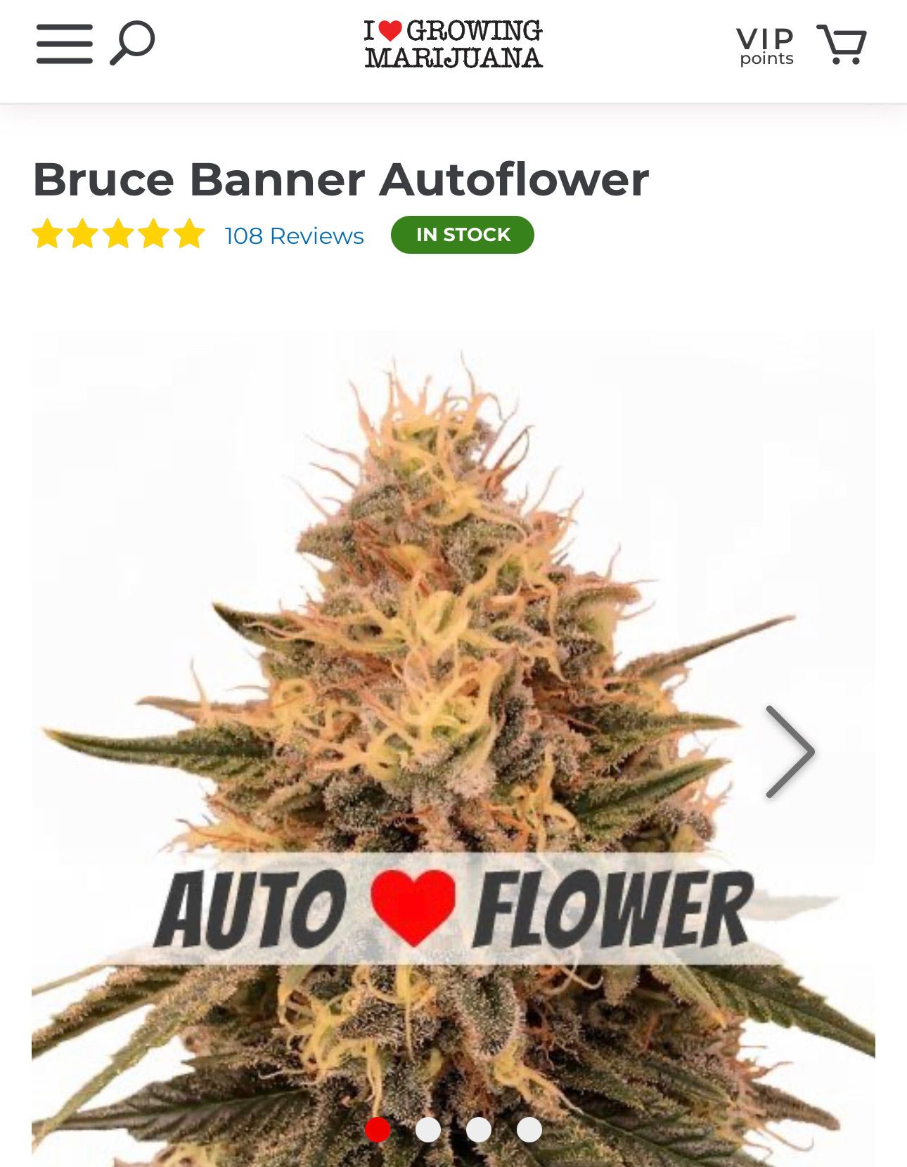 Bruce Banner Autoflower - ILGM growlog header