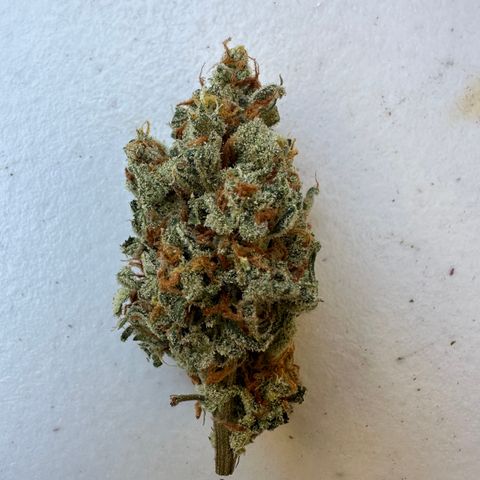 OG #3 growlog photo: 60 grams