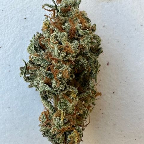 OG #3 growlog photo: 60 grams