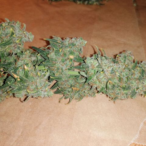 Wedding Cake 2 growlog timeline photo