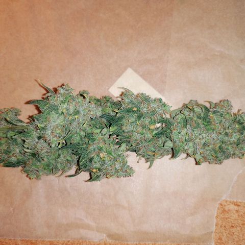 Wedding Cake 2 growlog timeline photo