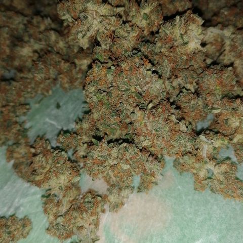 Wedding Cake 2 growlog photo: 15 5g