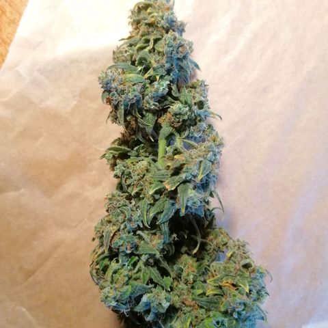Wedding Cake 2 growlog timeline photo