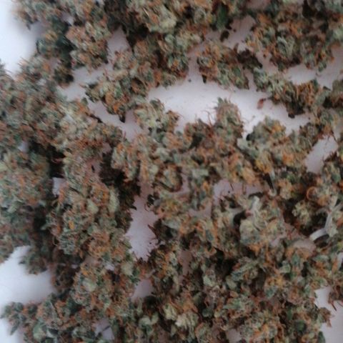 Wedding Cake 2 growlog photo: 15 5g