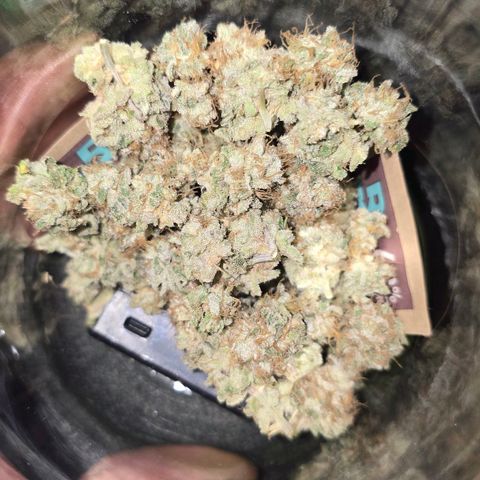 Purple Queen 🟣 [TOPPING + LST EXPERIMENT] growlog timeline photo