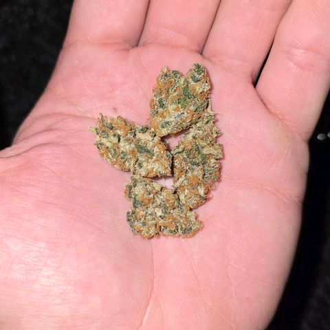 Grand Daddy Purple 🌌 growlog timeline photo