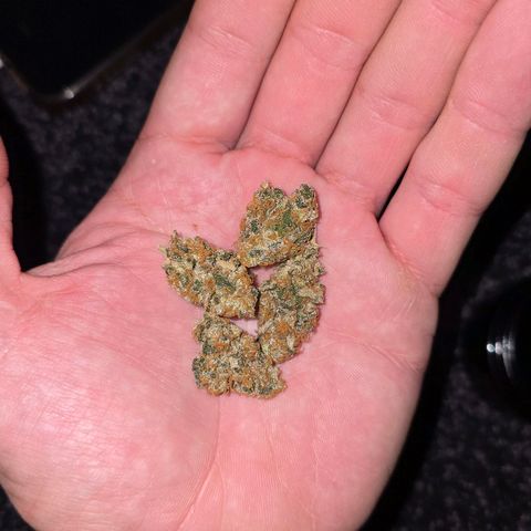 Grand Daddy Purple 🌌 growlog timeline photo